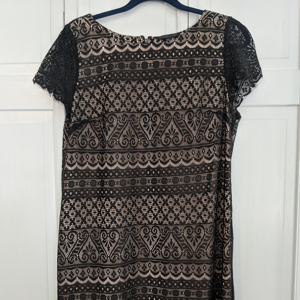 Black Lace overlay Short sleeve dress